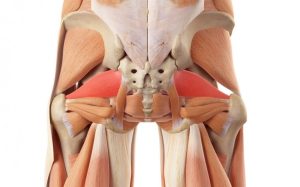 Синдром грушевидной мышцы